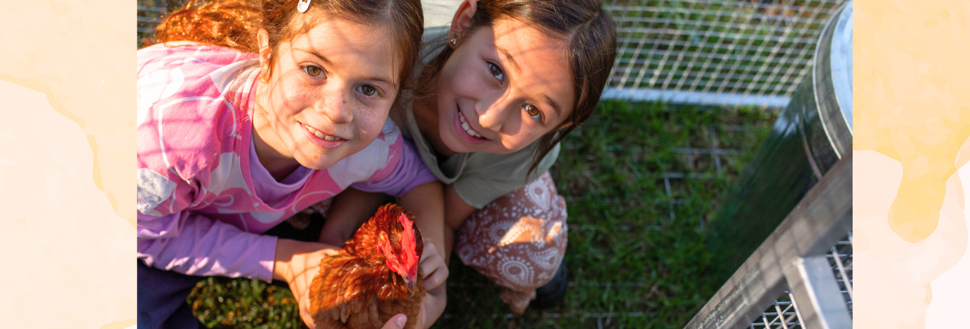 Website banners (49)