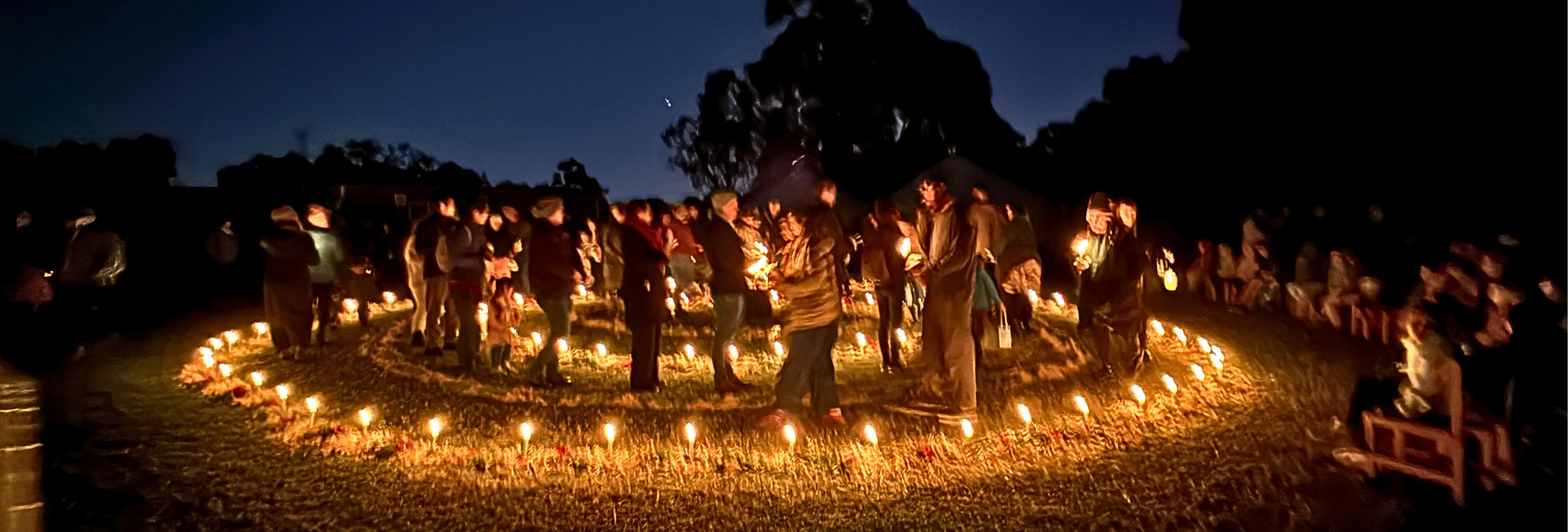 Website banners (63)